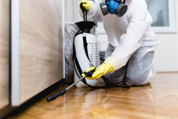Best Pest Control Near Me in Remerton, GA