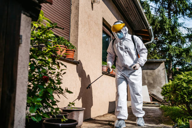 Best Termite Control Services  in Remerton, GA