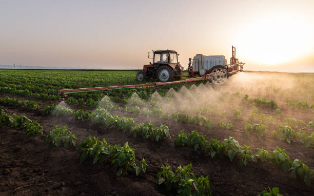 Best Mosquito Control Services  in Remerton, GA