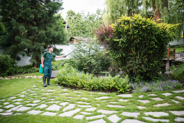 Best Best Pest Control Companies  in Remerton, GA