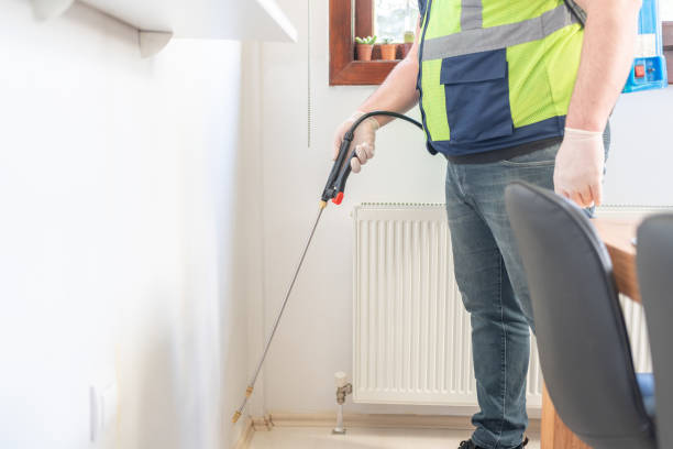 Best Pest Control for Homes  in Remerton, GA