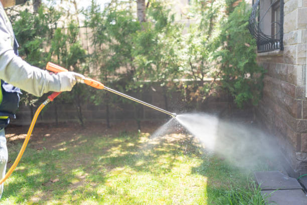 Best Pest Prevention Services  in Remerton, GA