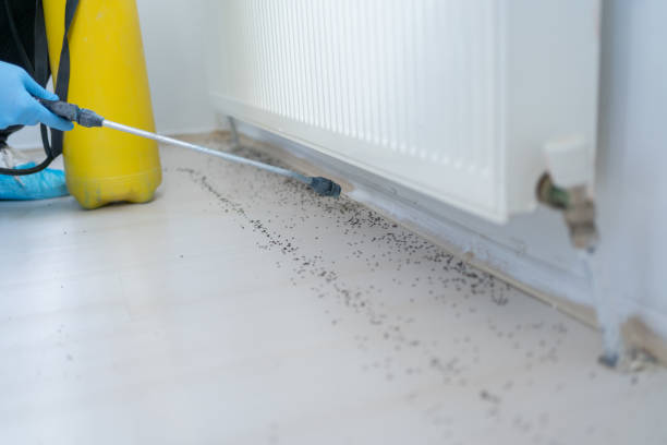 Best Commercial Pest Control Services  in Remerton, GA