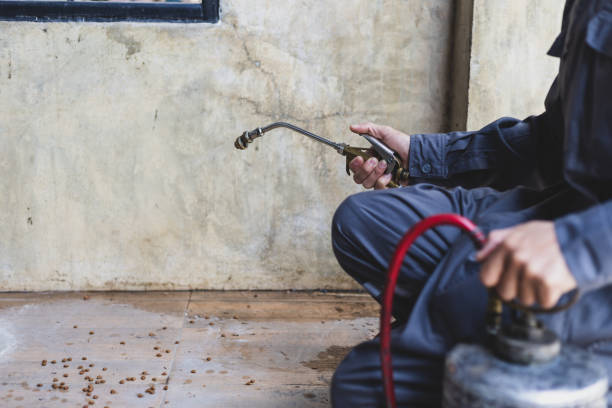 Professional Pest Control in Remerton, GA