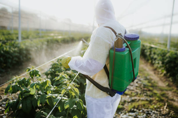 Best Exterminator Services  in Remerton, GA